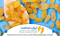 طرح توجیهی سورت و بسته بندی کشمش