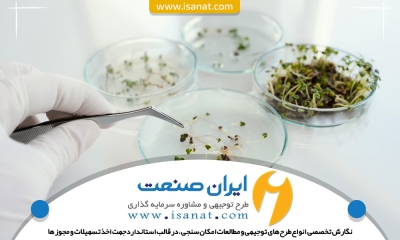 طرح توجیهی تولید اسانس گیاهان دارویی و فرآوری آنها